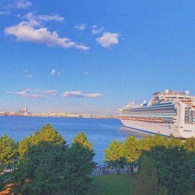 永盈会手机版手机app下载