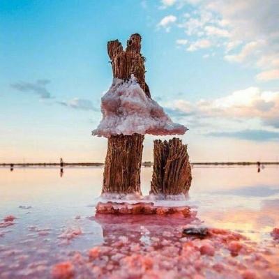 亚搏APP·官方网站