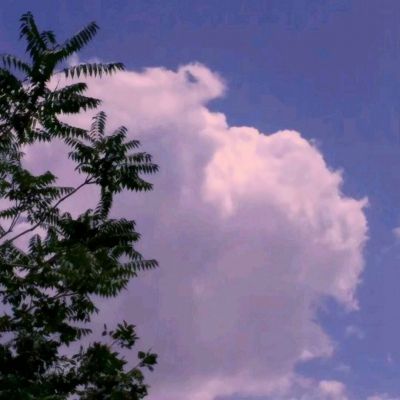 威尼斯欢乐娱人棋牌